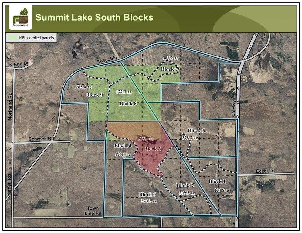 6 Comet Road Birchwood, WI 54817 - Photo 6 of 31