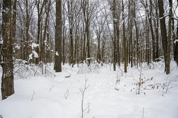 $754,515 | 6 Comet Road, Birchwood, WI 54817