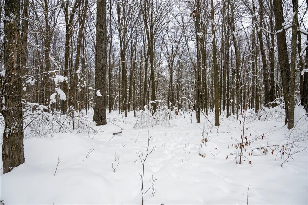 6 Comet Road Birchwood, WI 54817 - Photo 8 of 31