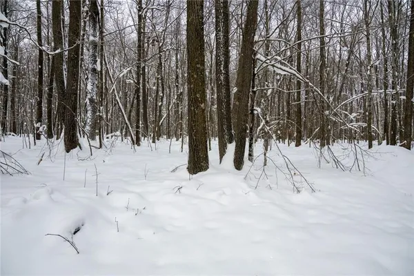 $754,515 | 6 Comet Road, Birchwood, WI 54817