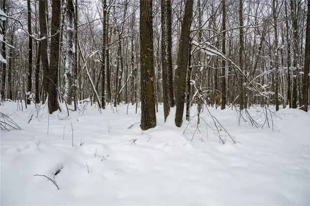 $754,515 | 6 Comet Road, Birchwood, WI 54817