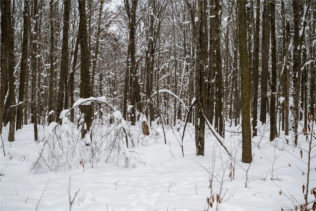 6 Comet Road Birchwood, WI 54817 - Photo 9 of 31