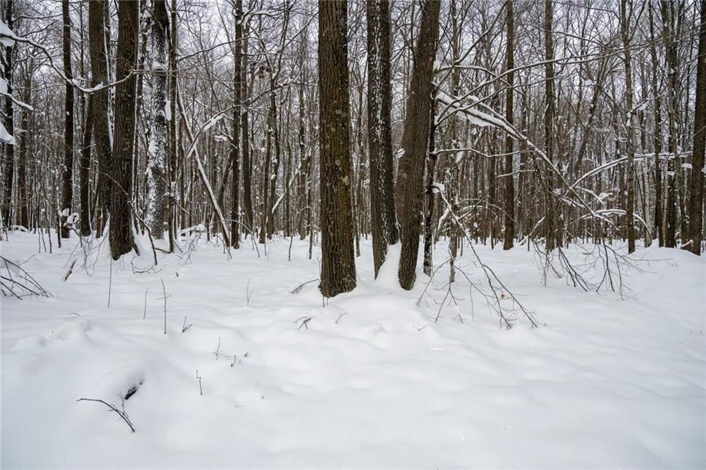 6 Comet Road Birchwood, WI 54817 - Photo 10 of 31