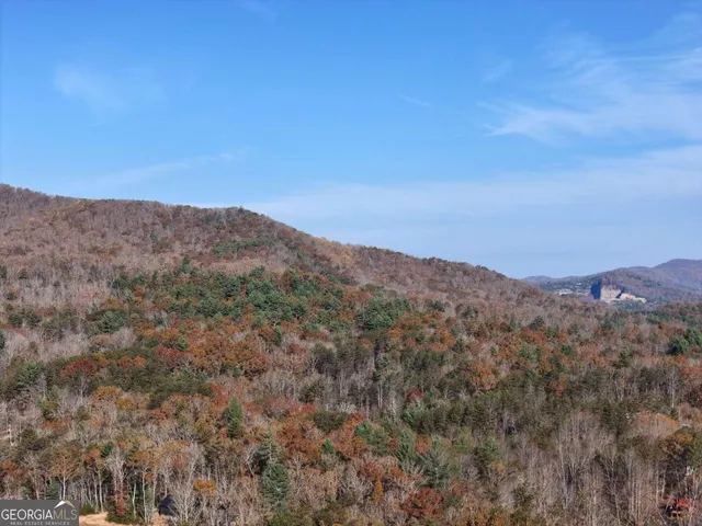 a view of city and mountain