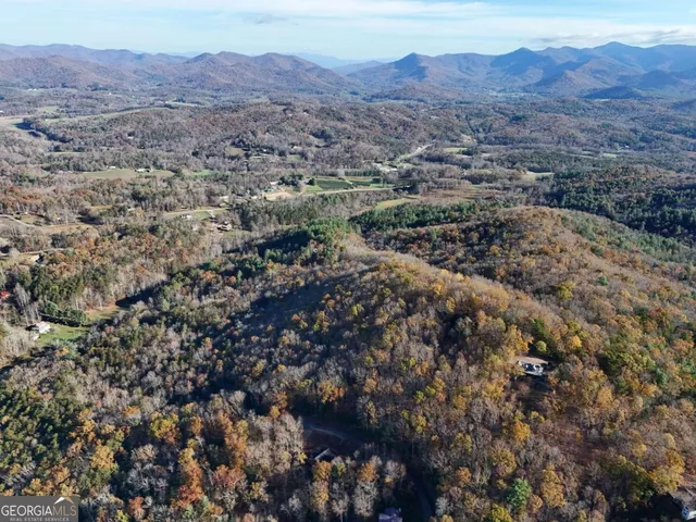 a view of a yard with a mountain