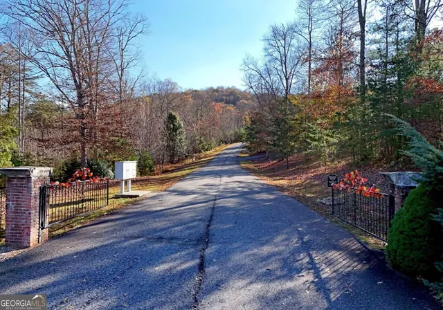 a view of a forest with trees