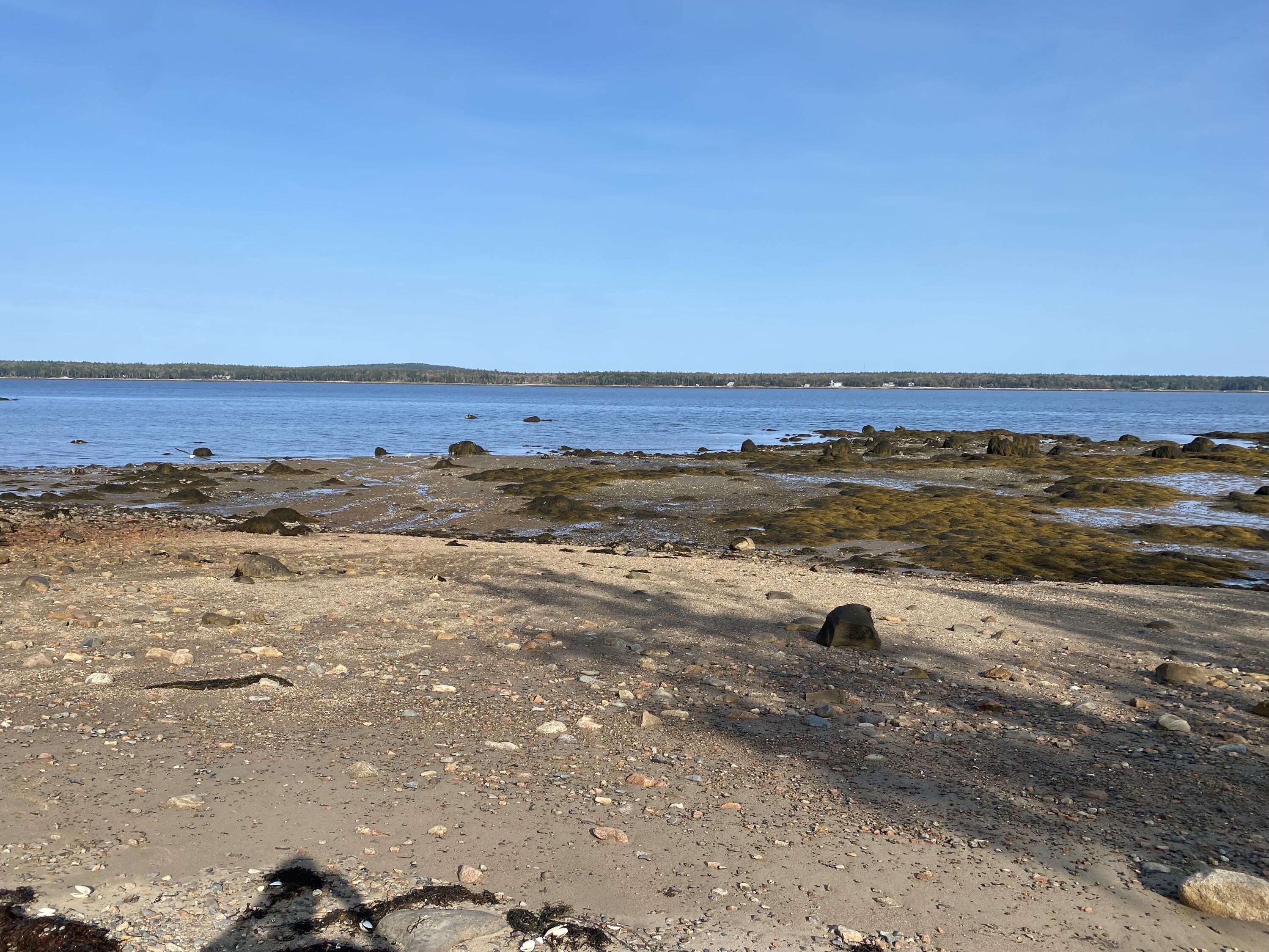 182 Paul Bunyan Road Corea, ME 04624 - Photo 19 of 45 9