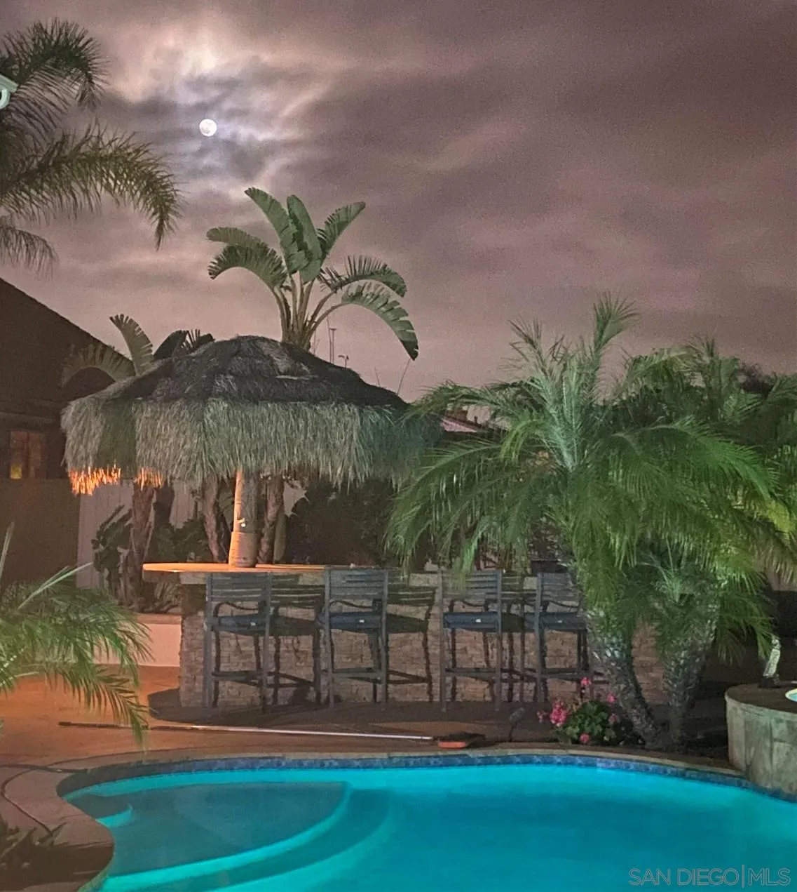 565 Hidden Trails Road Escondido, CA 92027 - Photo 11 of 52 a view of swimming pool yard and lake view