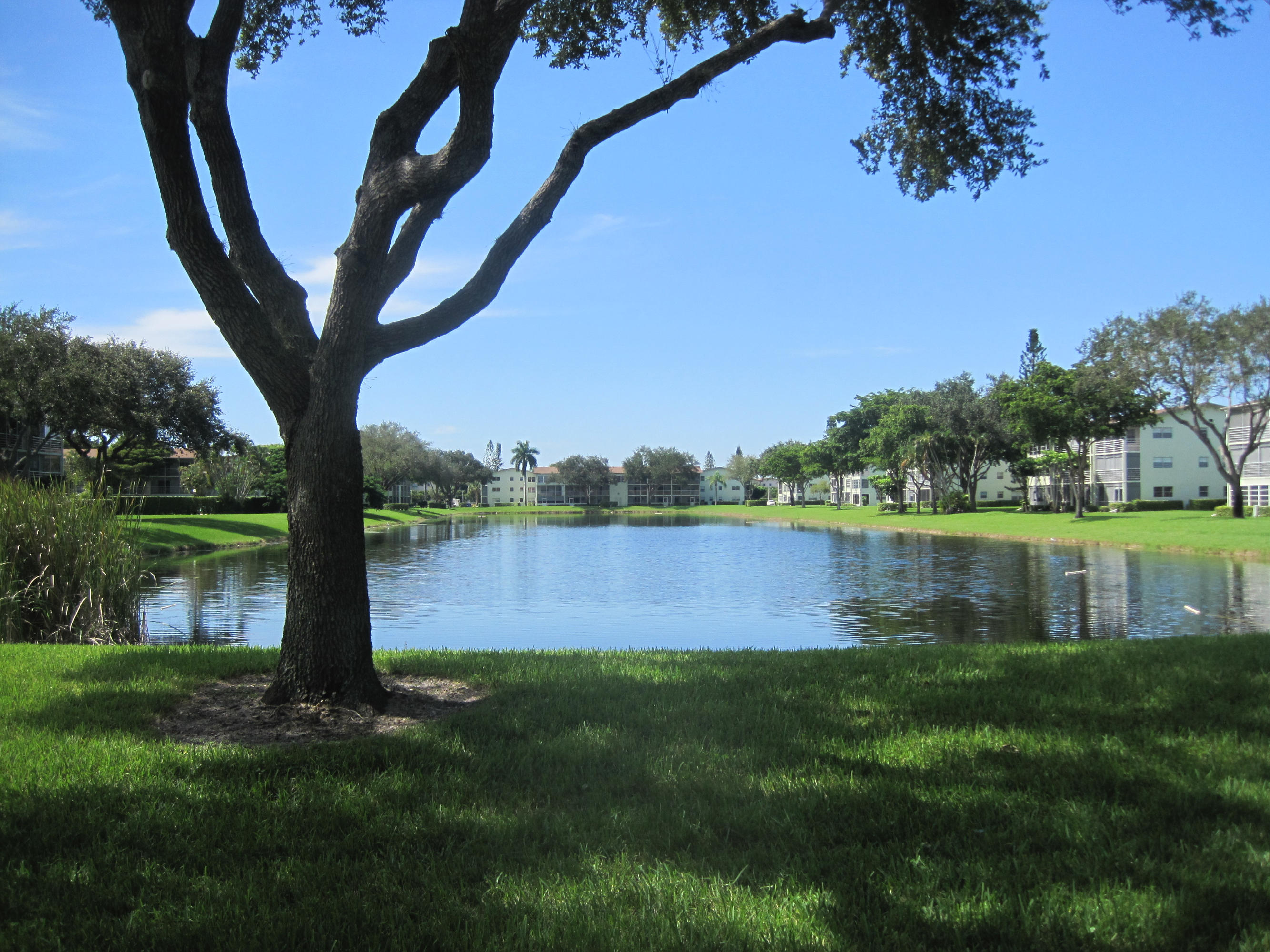 216 Dorset F, Unit 216 Boca Raton, FL 33434 - Photo 2 of 25 215 Dorset F (4)