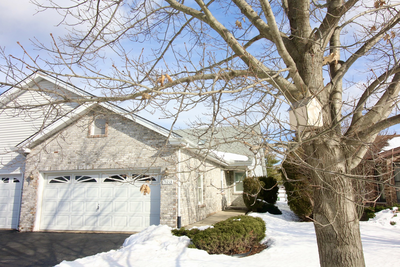 a view of a yard of a house