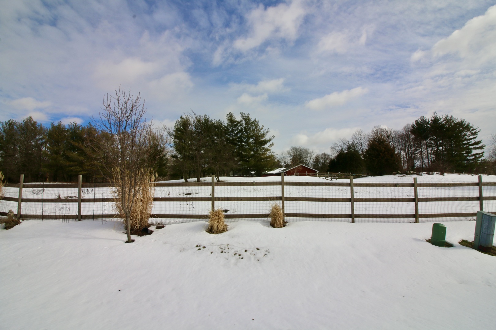 19213 Weber Road Mokena, IL 60448 - Photo 36 of 36 a view of outdoor space with trees