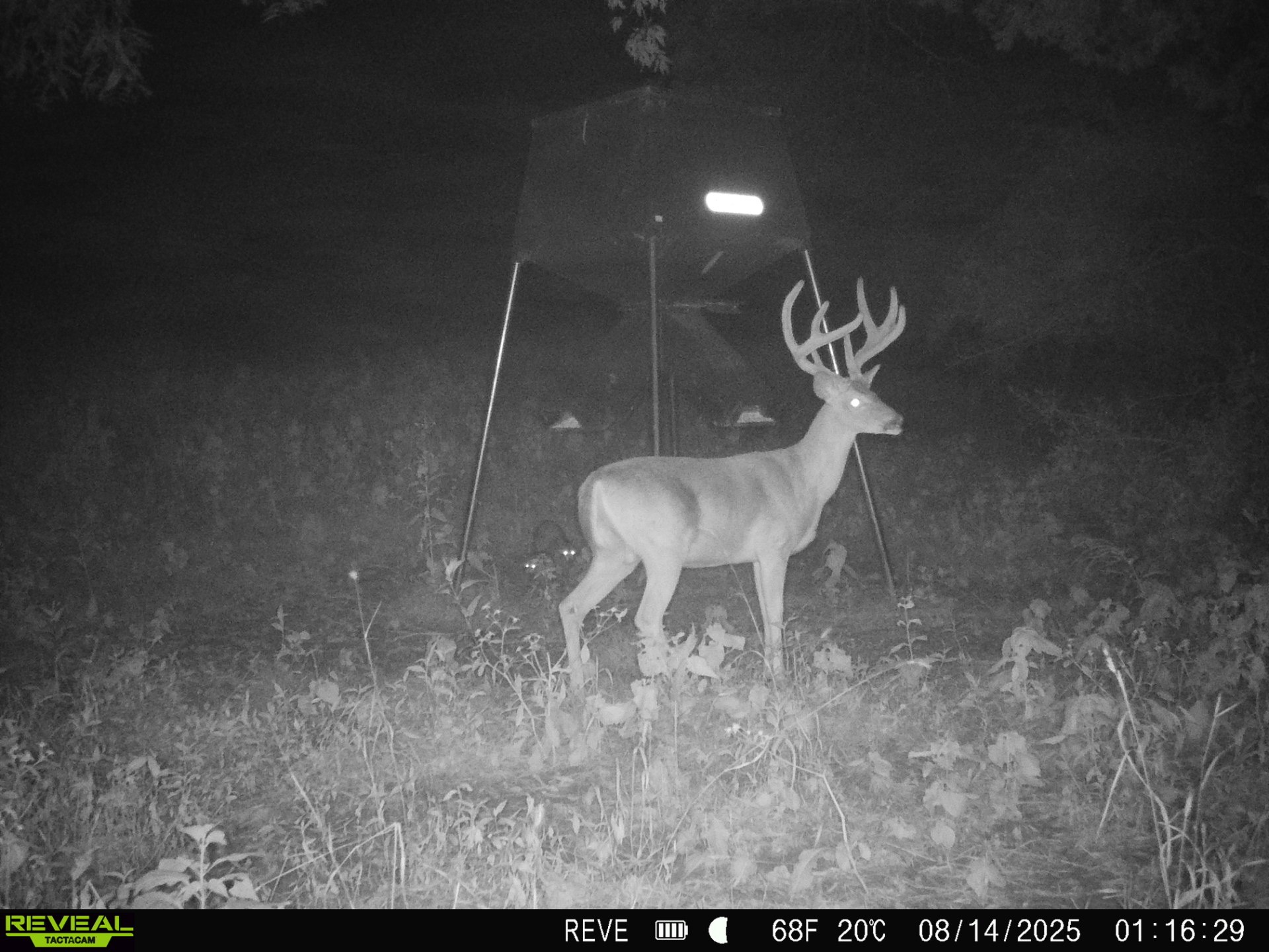 0 Sorrells Road Petersburg, TN 37144 - Photo 27 of 44 Gallery Image 27