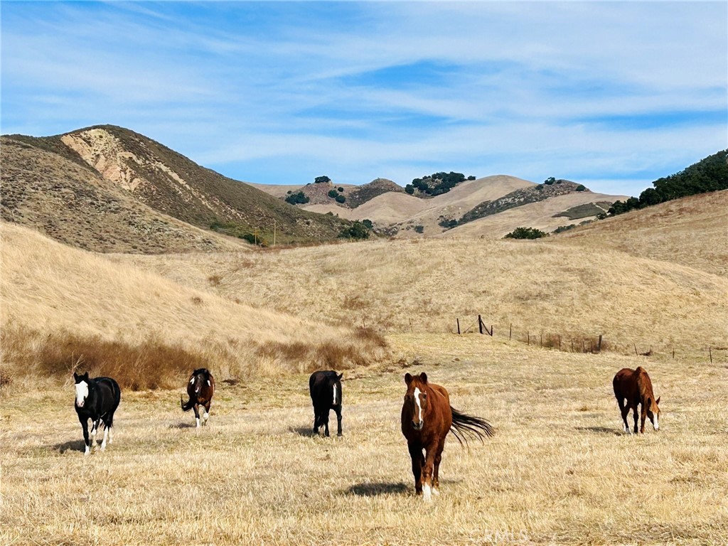 4905 Huasna Road Arroyo Grande, CA 93420 - Photo 43 of 59 a view of a lake with a mountain