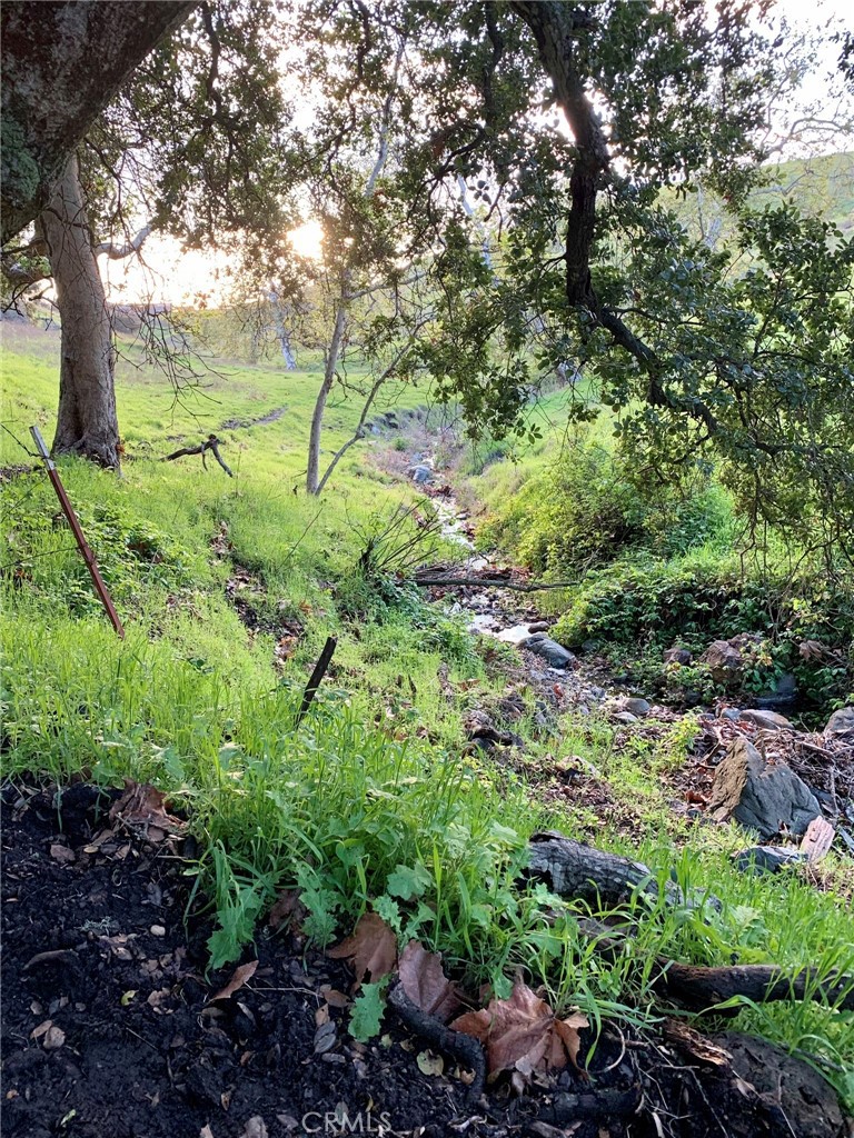 4905 Huasna Road Arroyo Grande, CA 93420 - Photo 45 of 59 a view of outdoor space and yard