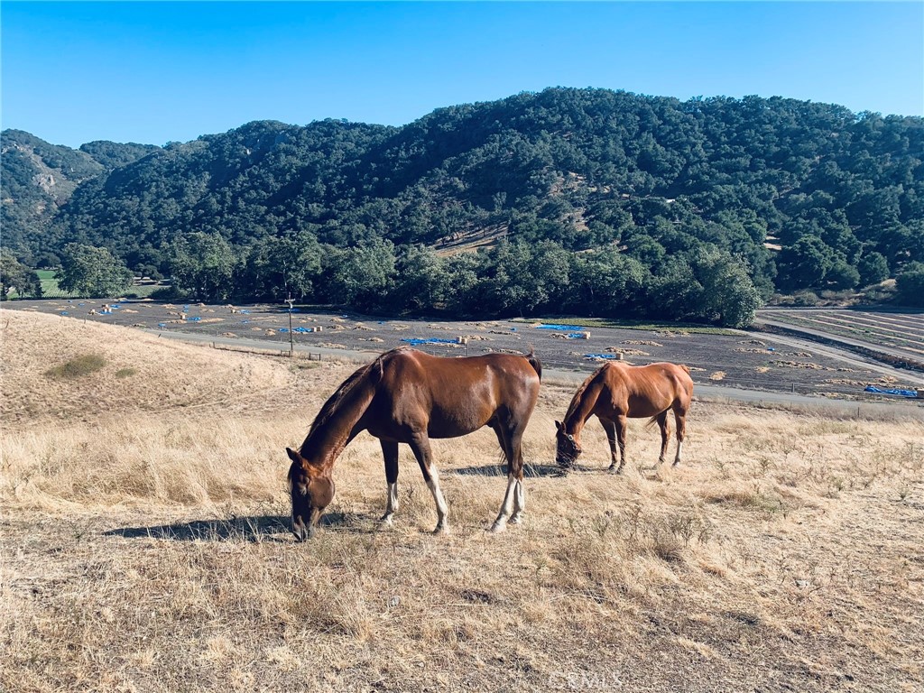 4905 Huasna Road Arroyo Grande, CA 93420 - Photo 46 of 59 a view of a chairs and table in the ocean