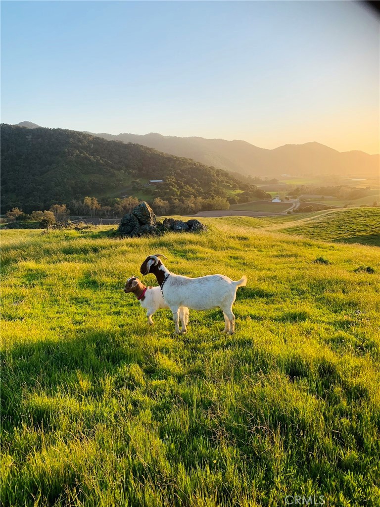 4905 Huasna Road Arroyo Grande, CA 93420 - Photo 49 of 59 a view of an ocean and a mountain