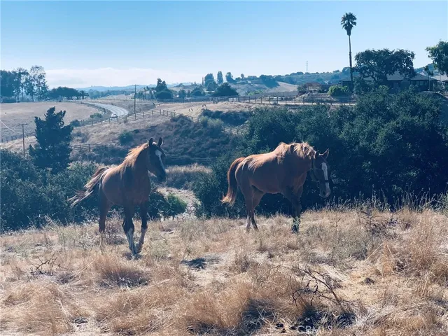 $2,499,999 | 4905 Huasna Road, Arroyo Grande, CA 93420