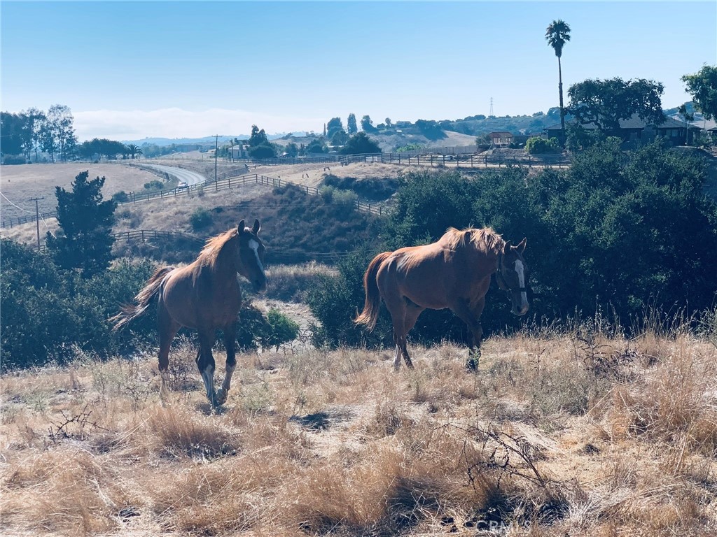 4905 Huasna Road Arroyo Grande, CA 93420 - Photo 51 of 59