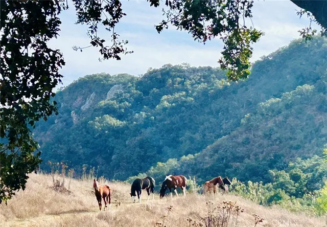 $2,499,999 | 4905 Huasna Road, Arroyo Grande, CA 93420