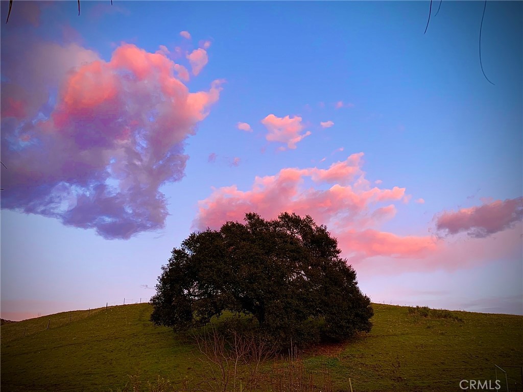 4905 Huasna Road Arroyo Grande, CA 93420 - Photo 55 of 59