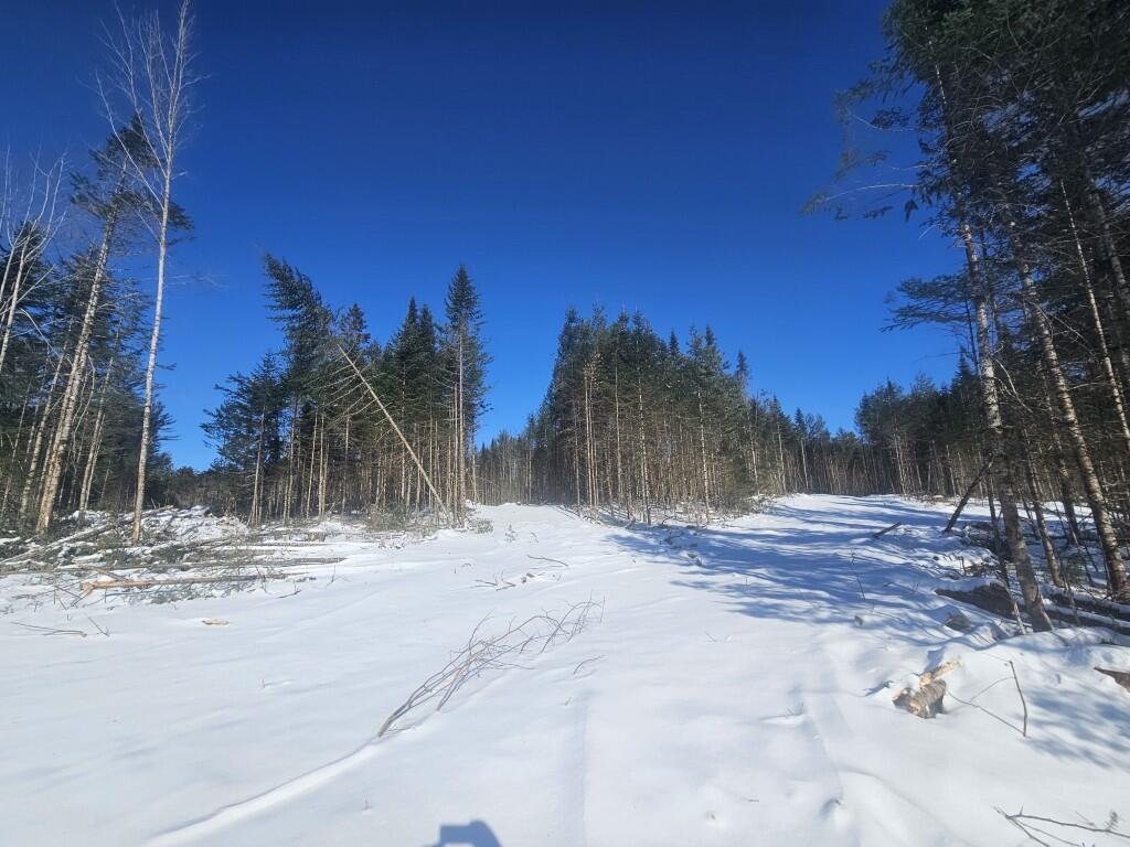 104 Town Road Lagrange, ME 04453 - Photo 22 of 30 18 North section woods road 2
