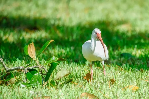 a view of lake with mountain