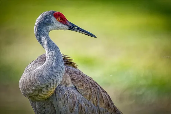 $109,900 | 615 Midway Drive, Unit B, Ocala, FL 34472