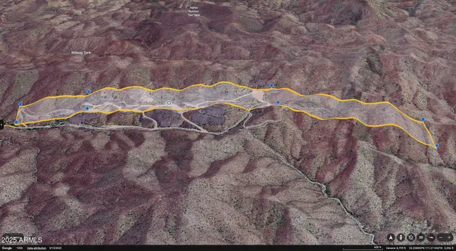 a close view of a dry yard