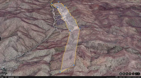 a close up of a tree