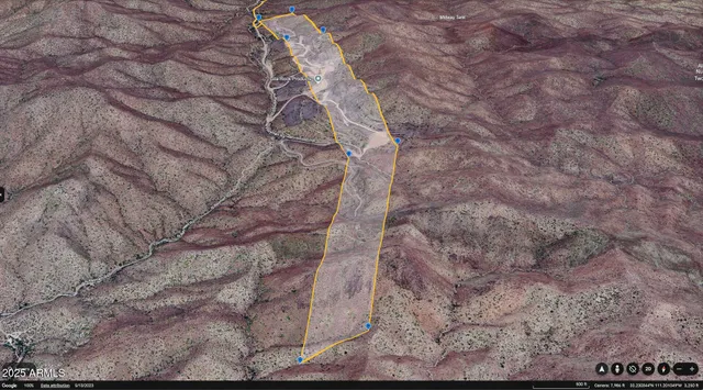 a close up of a tree