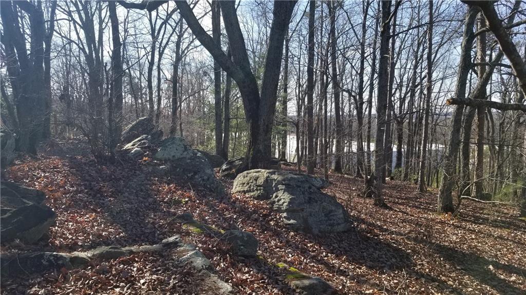 1785 Plunketts Road Buford, GA 30519 - Photo 2 of 7