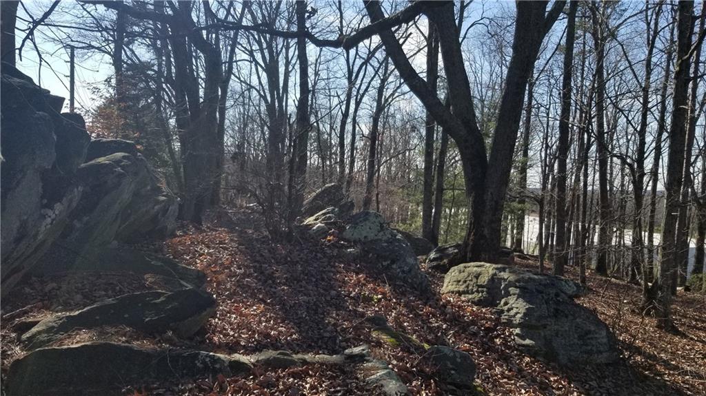 1785 Plunketts Road Buford, GA 30519 - Photo 3 of 7