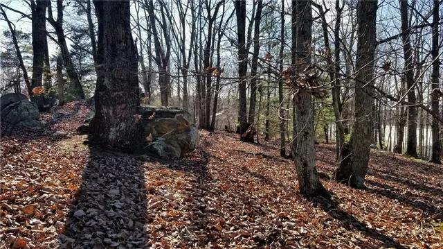 $249,900 | 1785 Plunketts Road, Buford, GA 30519