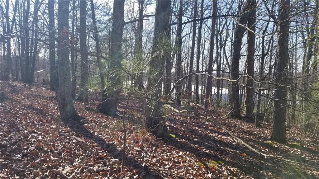 1785 Plunketts Road Buford, GA 30519 - Photo 5 of 7