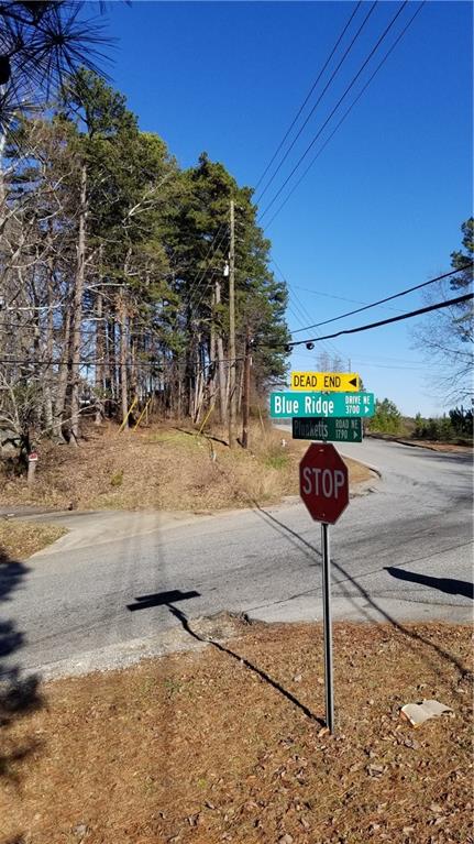 1785 Plunketts Road Buford, GA 30519 - Photo 6 of 7