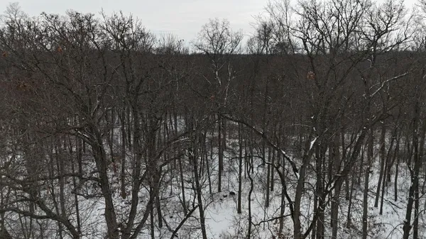 $134,900 | 1 Crooked Creek Road, White Pigeon, MI 49099
