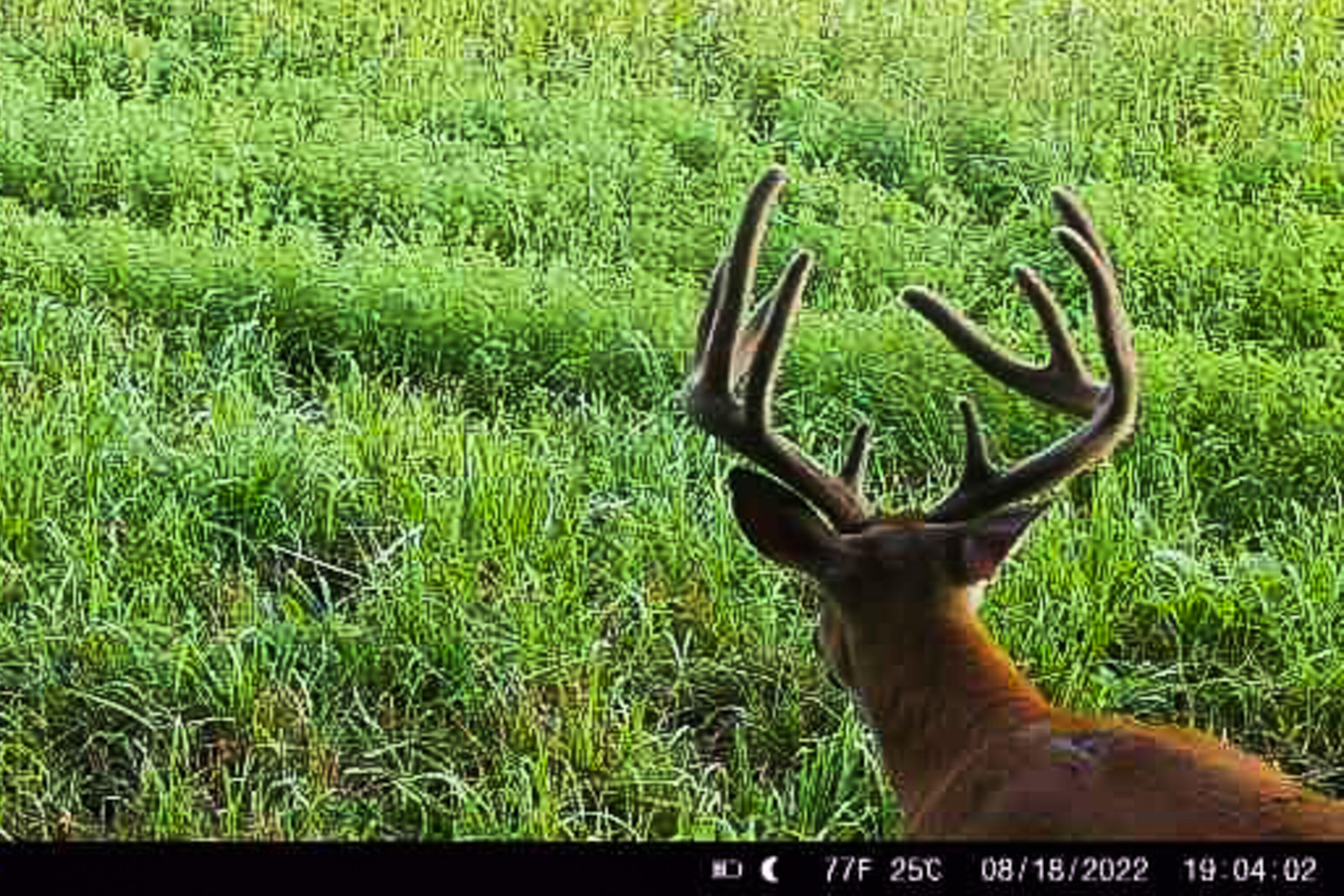 Lt1 Eli Valley Road Loganville, WI 53943 - Photo 3 of 66 Sauk-County-WI-90-Acres-Land-For-Sale-4