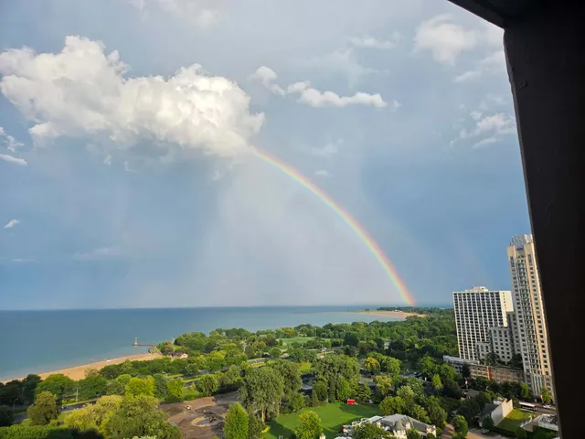 a close up of a plant in a garden