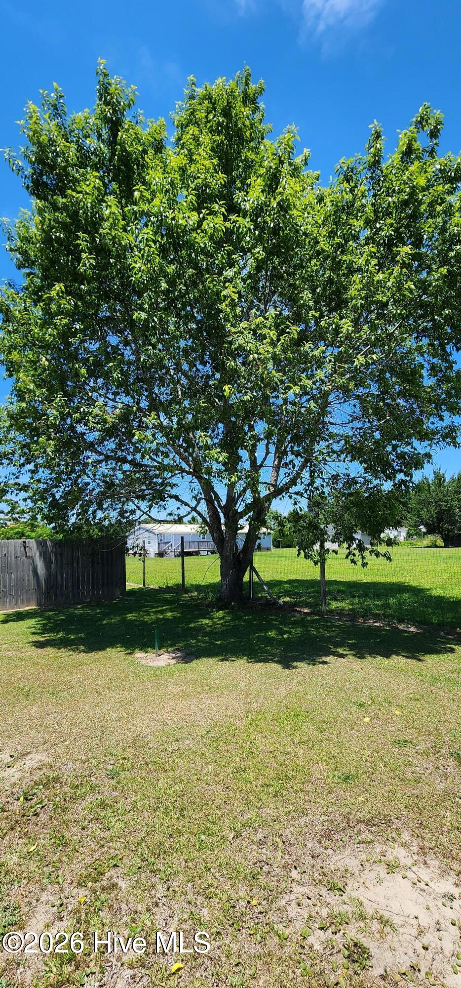 240 Taylor Road Havelock, NC 28532 - Photo 4 of 12