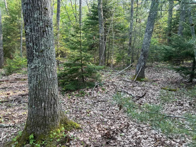 $1,299,000 | M6-l53 Bristol Road, Bristol, ME 04539