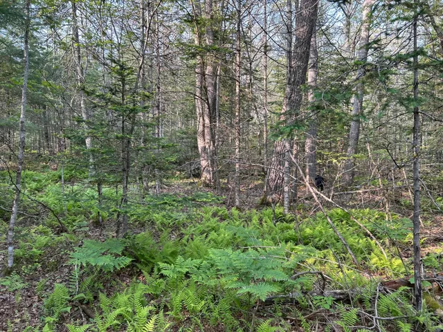 $1,299,000 | M6-l53 Bristol Road, Bristol, ME 04539