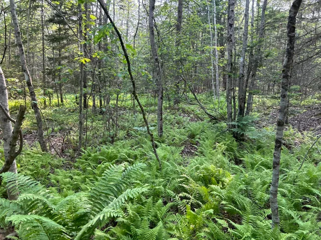 $1,299,000 | M6-l53 Bristol Road, Bristol, ME 04539