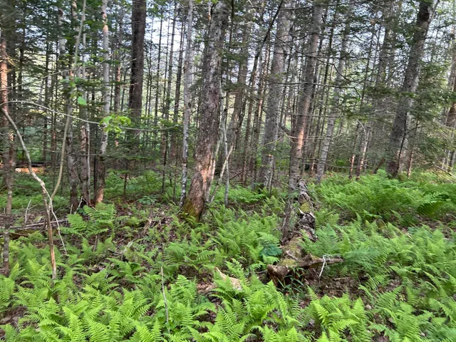 $1,299,000 | M6-l53 Bristol Road, Bristol, ME 04539