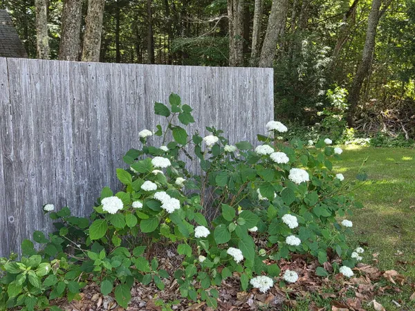 $600,000 | 1125 Macomber Mill Road, Eastbrook, ME 04634