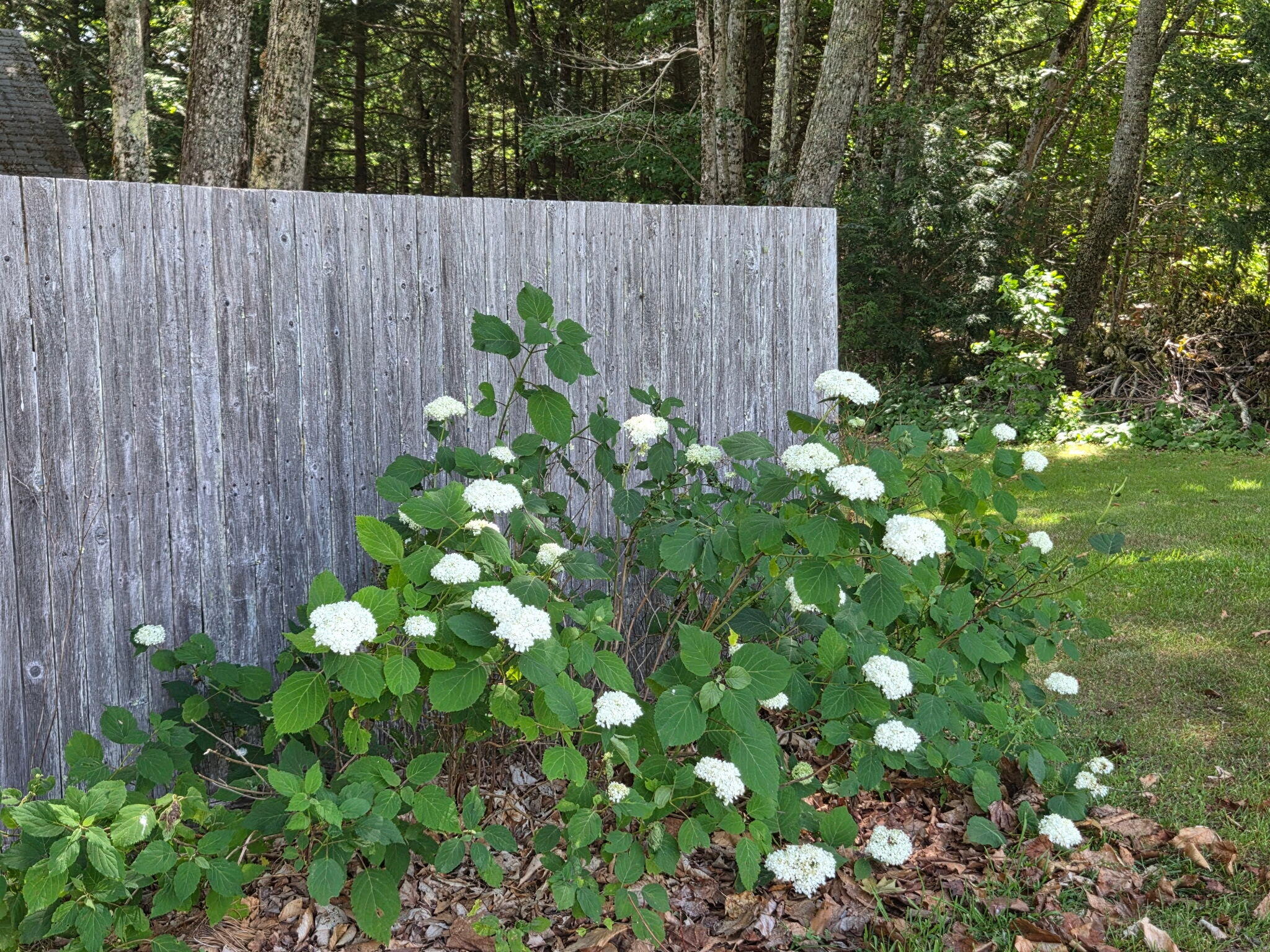 1125 Macomber Mill Road Eastbrook, ME 04634 - Photo 60 of 68 4954770249081563339