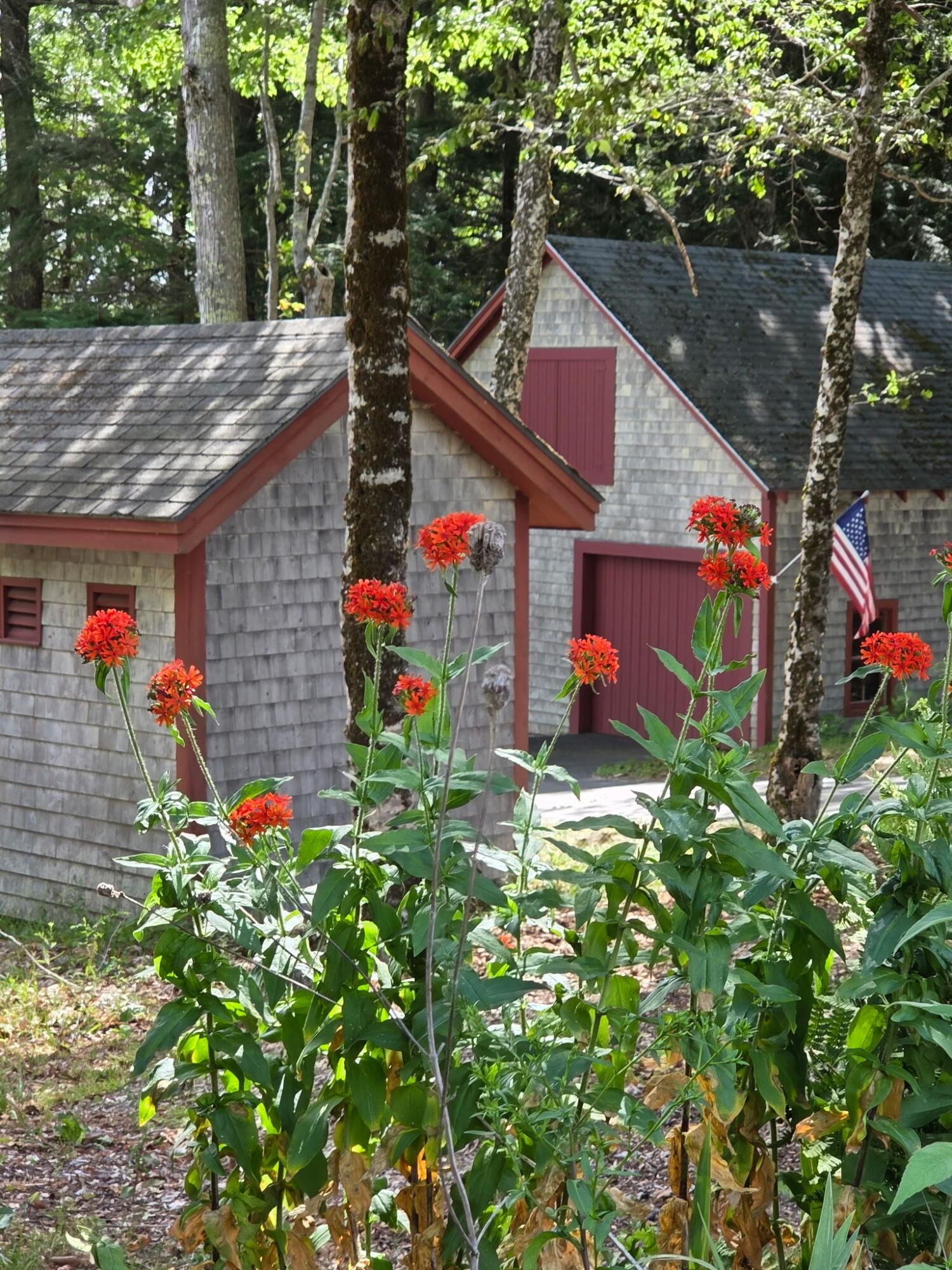 1125 Macomber Mill Road Eastbrook, ME 04634 - Photo 65 of 68 8983158272538229392