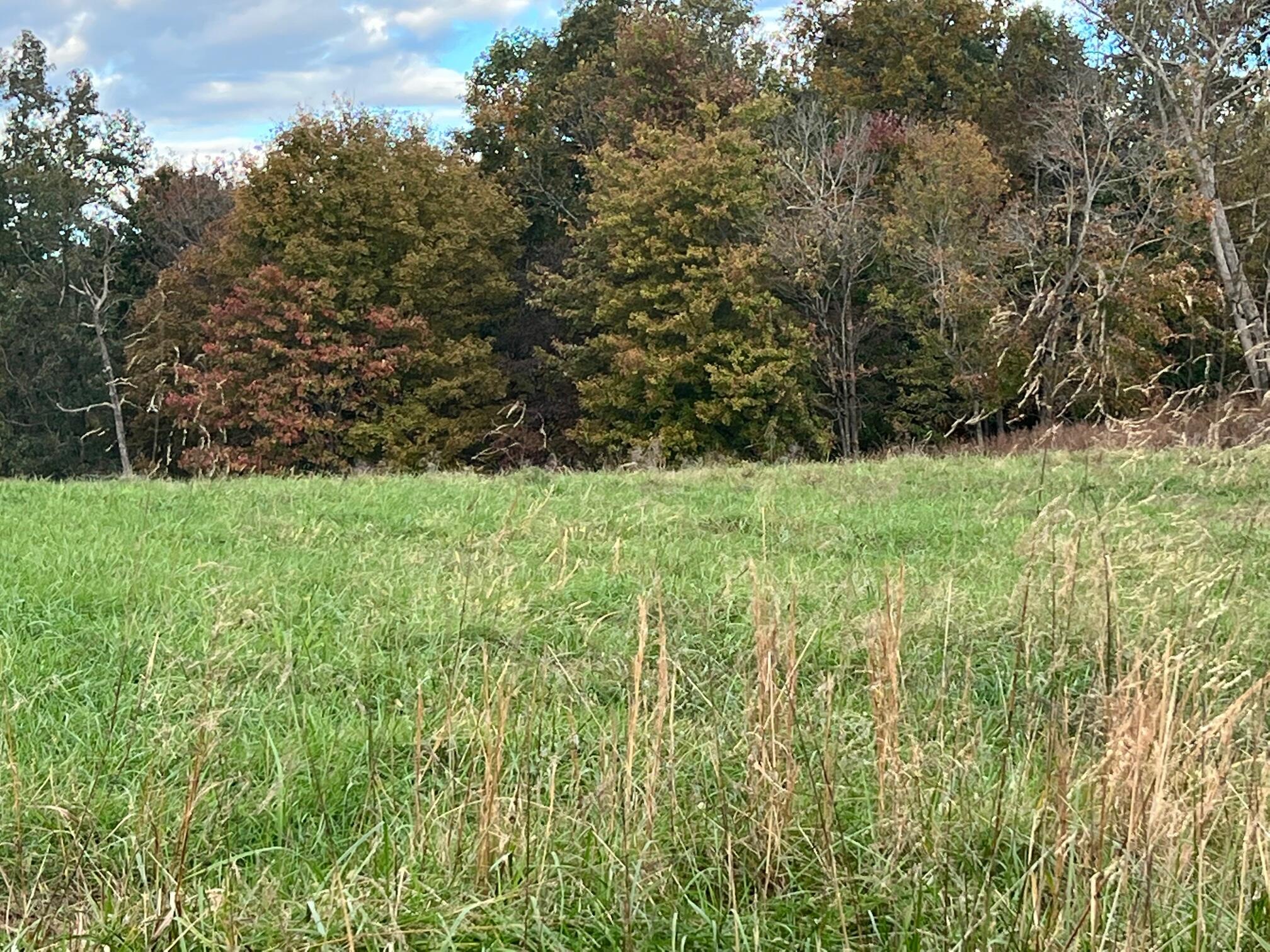 6 Mcclendon Road Nancy, KY 42544 - Photo 20 of 21 IMG_1244