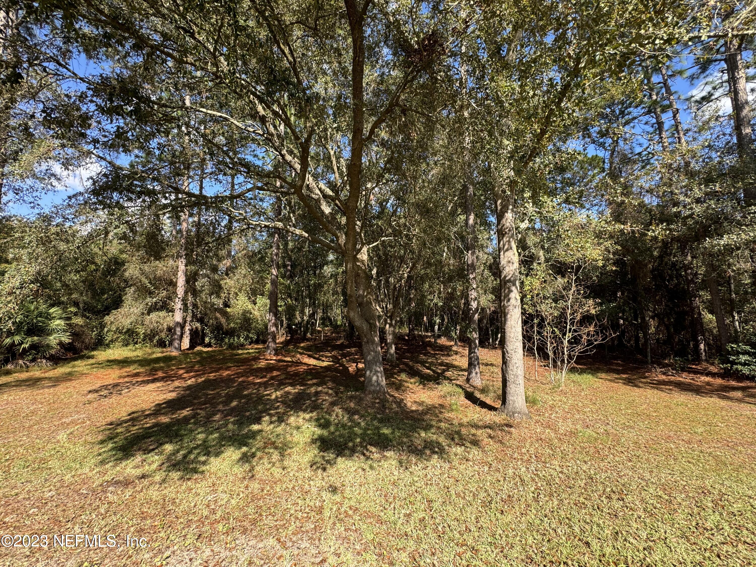 5120 Hattie Nolan Road Middleburg, FL 32068 - Photo 17 of 22 IMG_3239