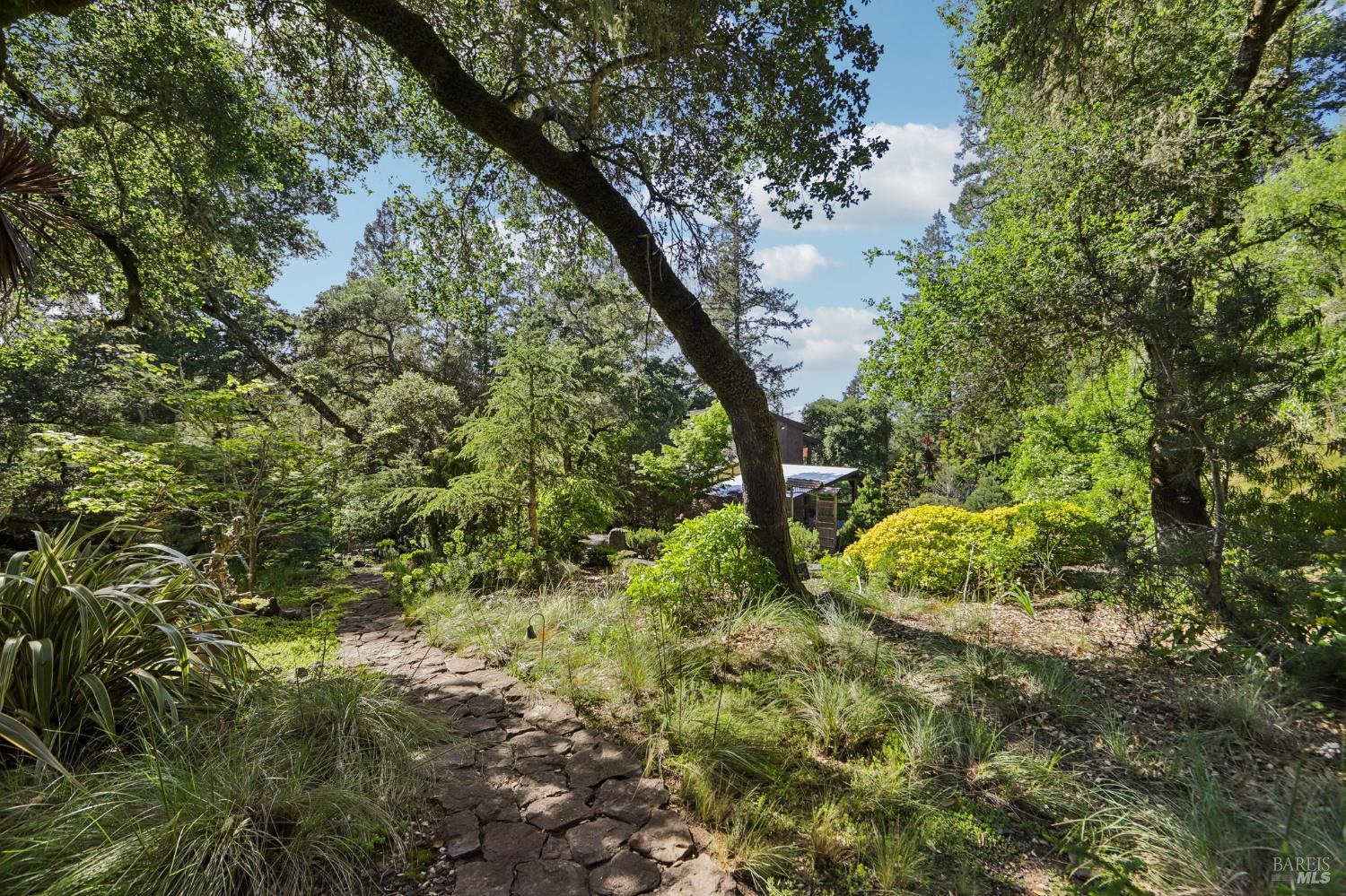 2515 Stepps Road Sebastopol, CA 95472 - Photo 70 of 93
