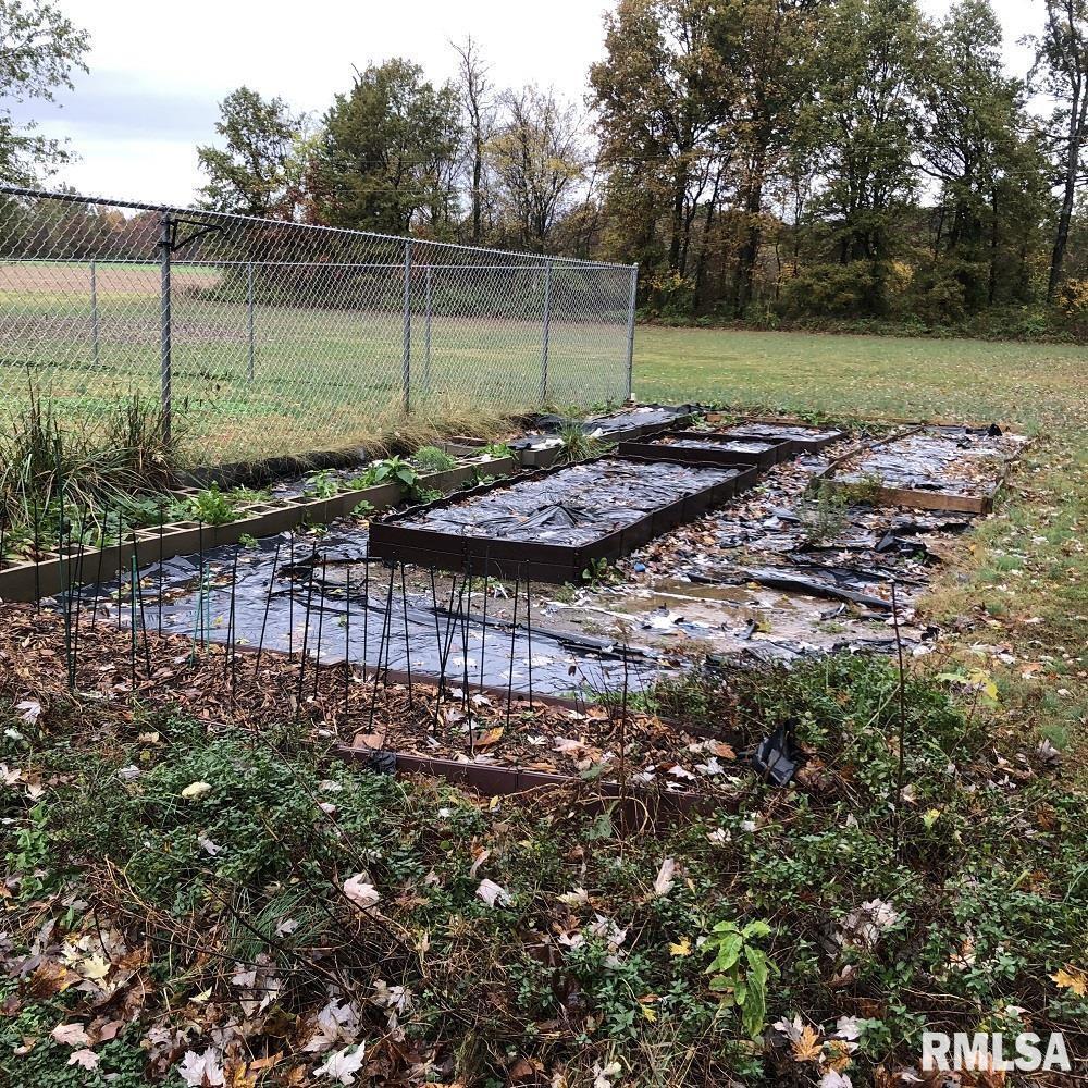 17018 East Thompson Road Opdyke, IL 62872 - Photo 16 of 18